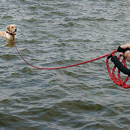 Plutus Pet Long Rope Dog Leash, With Comfortable Padded Handle, Reflective Nylon Heavy Duty Rope Leash, 15Ft 20Ft 30Ft 50Ft 66Ft Dog Training Leash For Small Medium Large Dogs (66Ft, Red)
