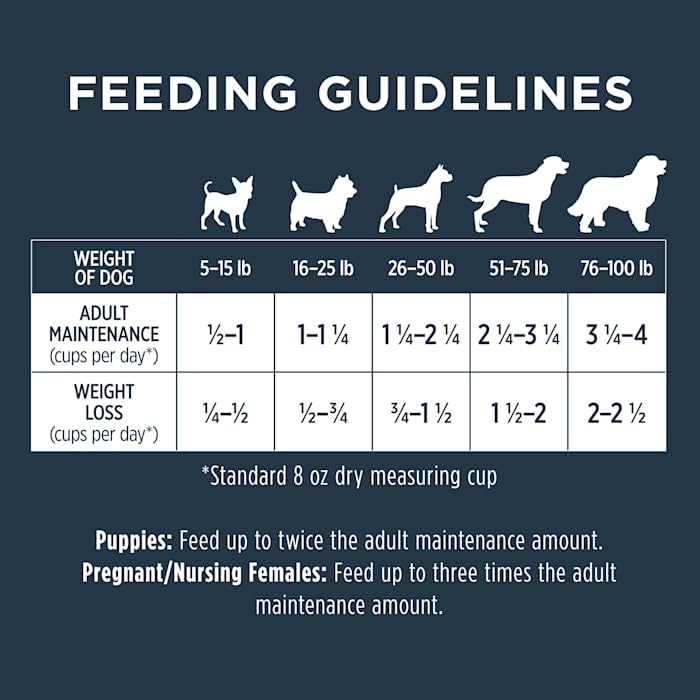 Instinct Raw Boost Grain Free Recipe with Real Beef Natural Dry Dog Food, 20 lb. Bag