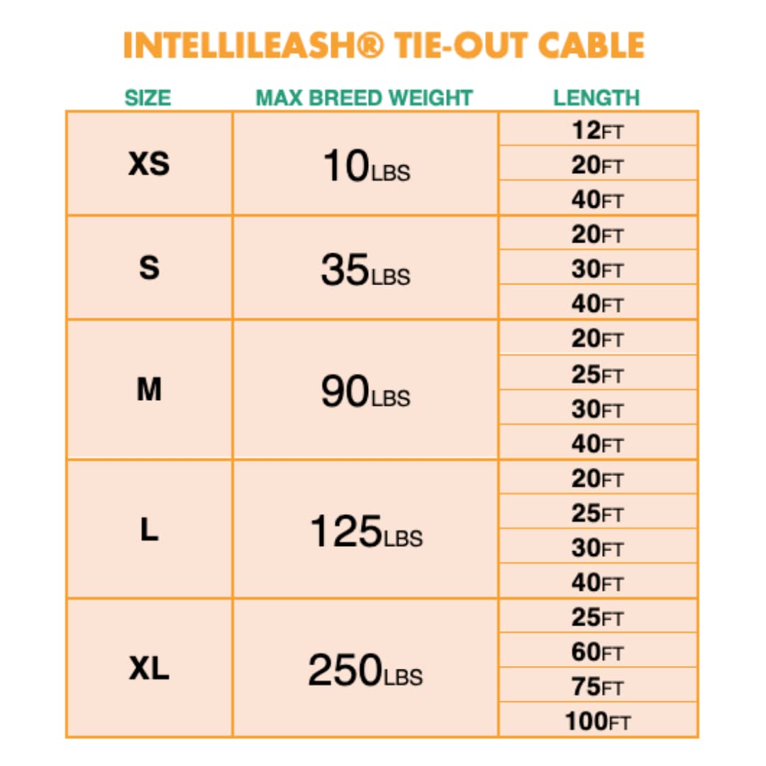 IntelliLeash Tie-Out Cables for Dogs. Lengths up to 100 Feet for Any Breed of Dogs up to 250 Pounds (10 lb / 12 ft)