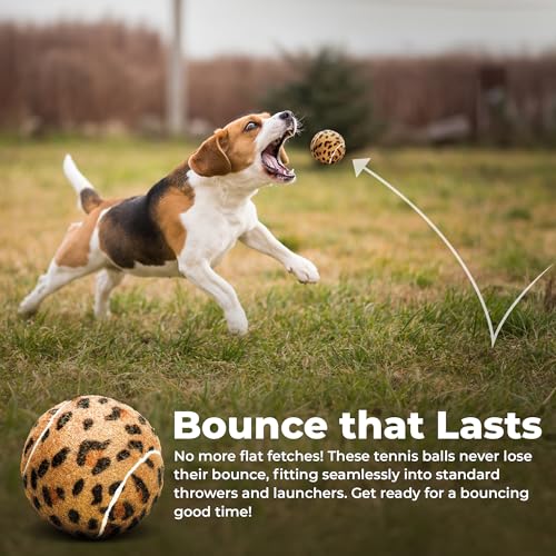 Unique Sports Dog Fetch Squeaker Balls - Assorted Animal Prints, 4 Pack, Model DFB-S-4, Durable Material