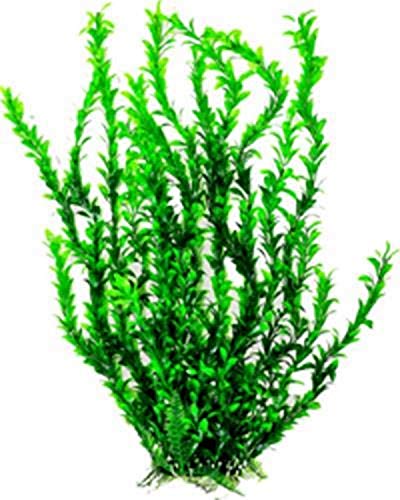 Aquatop Atp Plnt Tall Bushy Lgn 26In