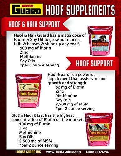 Hoof & Hair Guard 40 lb, Equine Hoof Strengthening & Coat Conditioning Supplement