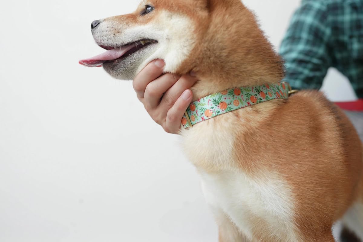 Yudote Floral Dog Collars Adjustable Nylon Collar With Quick Release Buckle For Female Male Dogs, Purple, Large