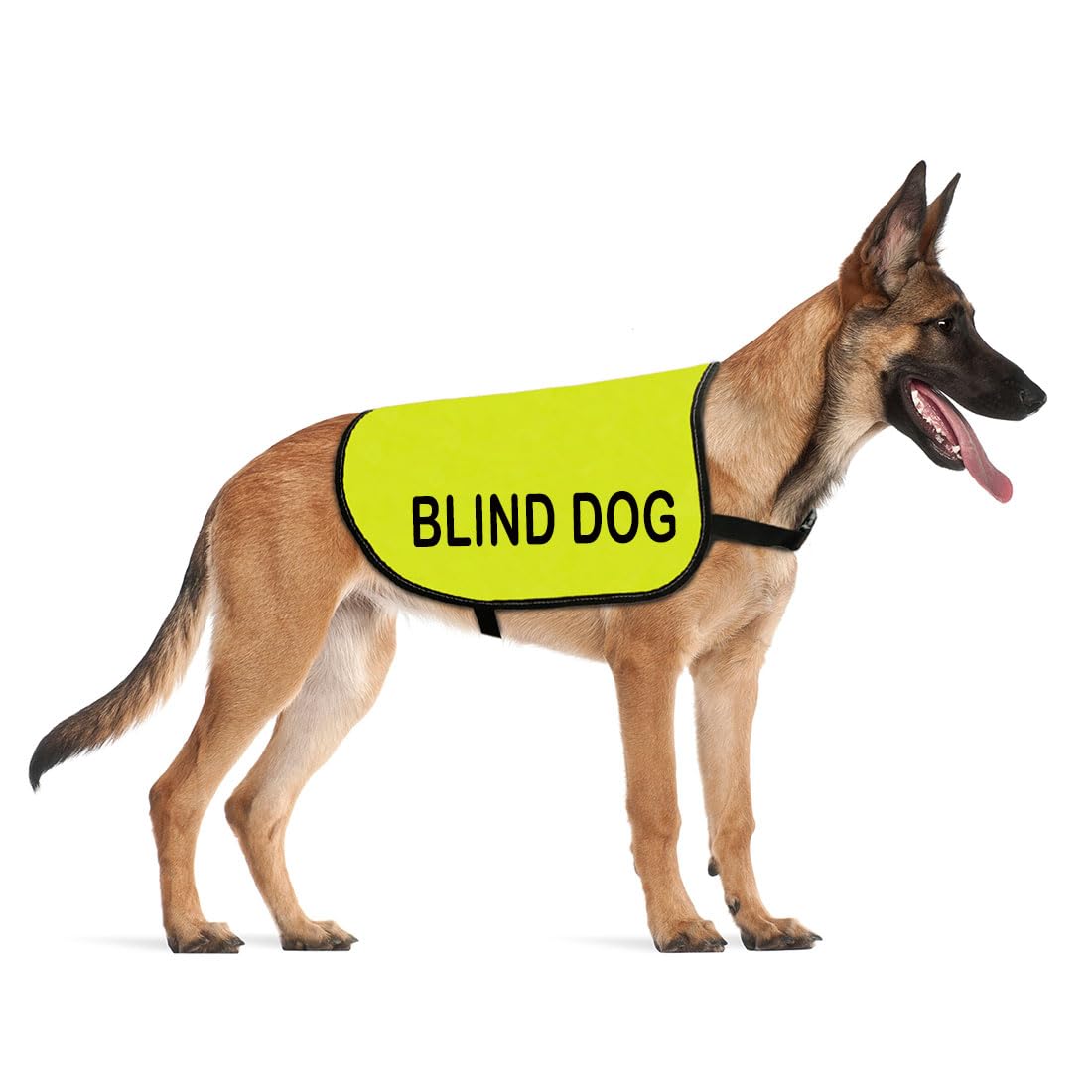 Cenwa Blind Dog Jacket Vest Blind Dog Alerts Blind Dogs Walking Slogan Warning Vest Special Needs Gift (Blind Dog L)