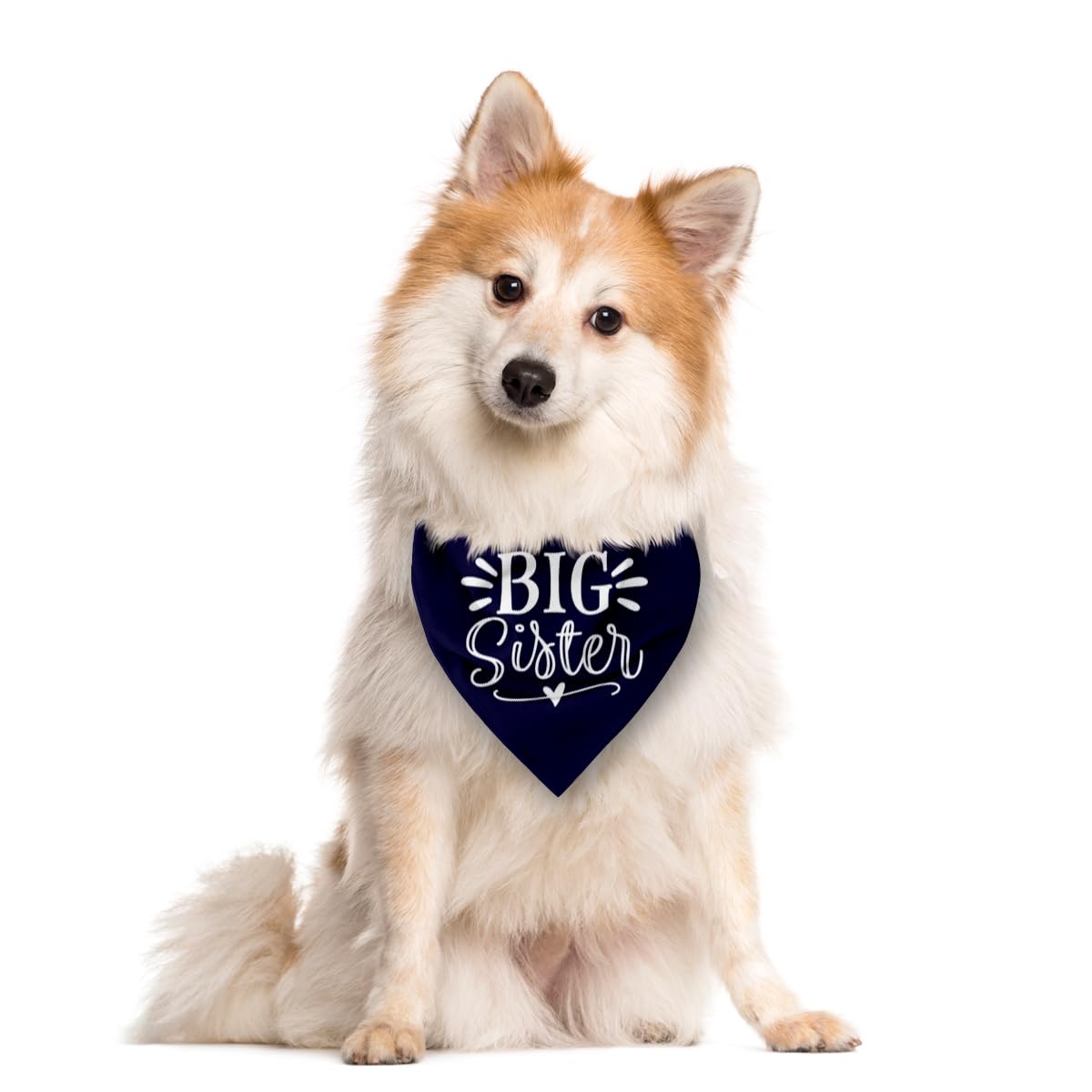 Big Sister Dog Bandana - Dark Blue Triangle Scarf For Small, Medium, Large Dogs - Pet Accessories For Baby Announcement (D33)