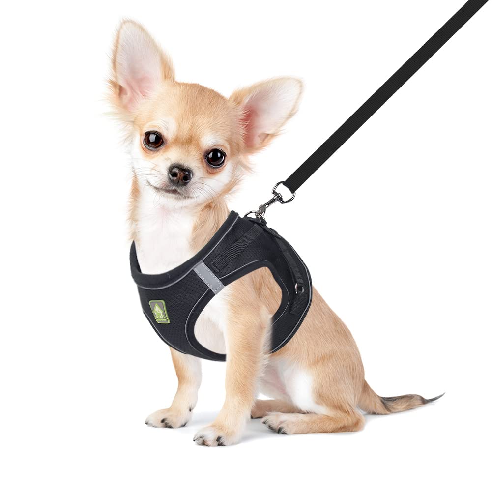 Feimax Dog Harness And Leash Set, No-Pull Breathable Soft Mesh Puppy Vest Harness Reflective Adjustable Pet Harnesses For Small Medium Dogs And Cats - Outdoor Easy Control For Walking