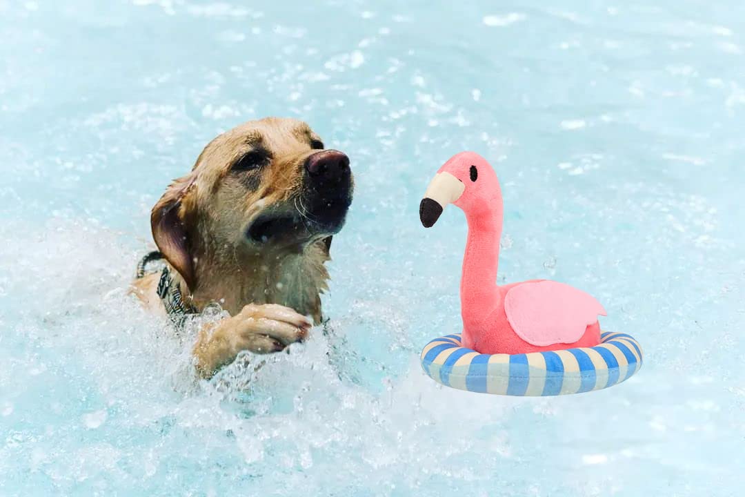 Floating Dog Pool Toys, Squeaky Dog Water Toys For Small Medium Dogs