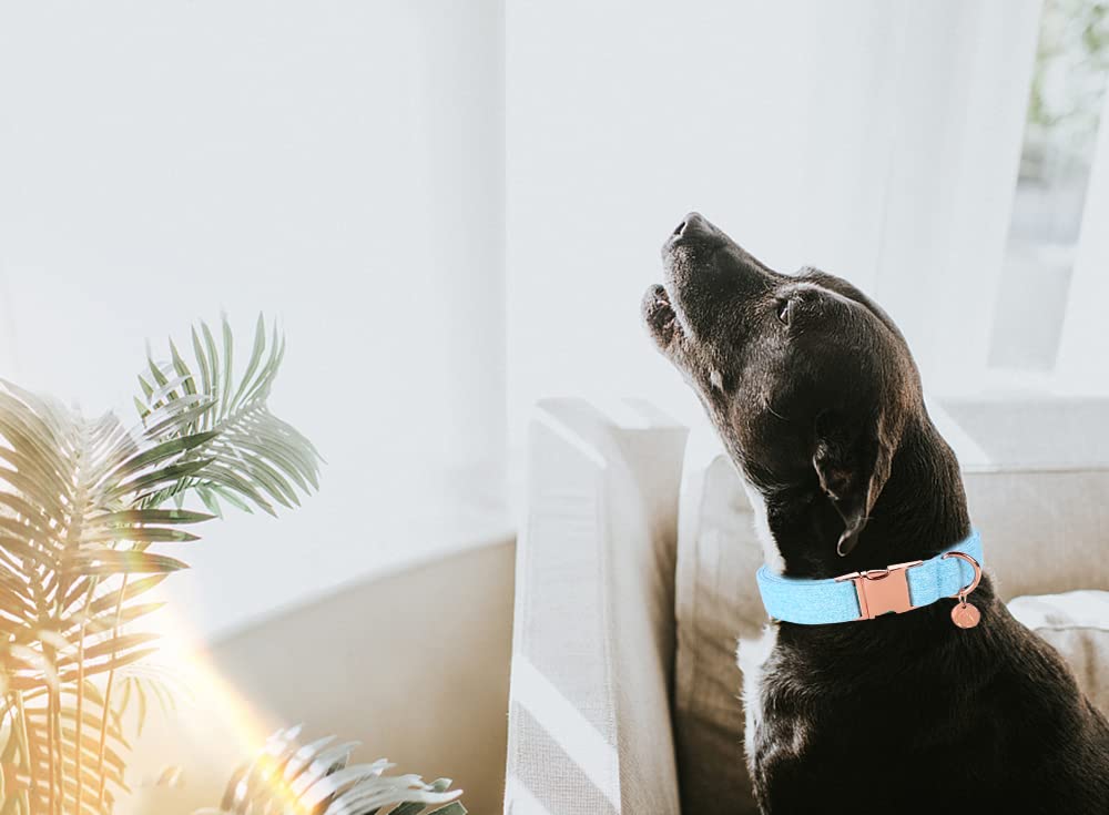 Dogwong Cotton Dog Collar And Leash, Blue Pet Collar Soft Durable Puppy Collar Leash For Small Medium Large Dogs