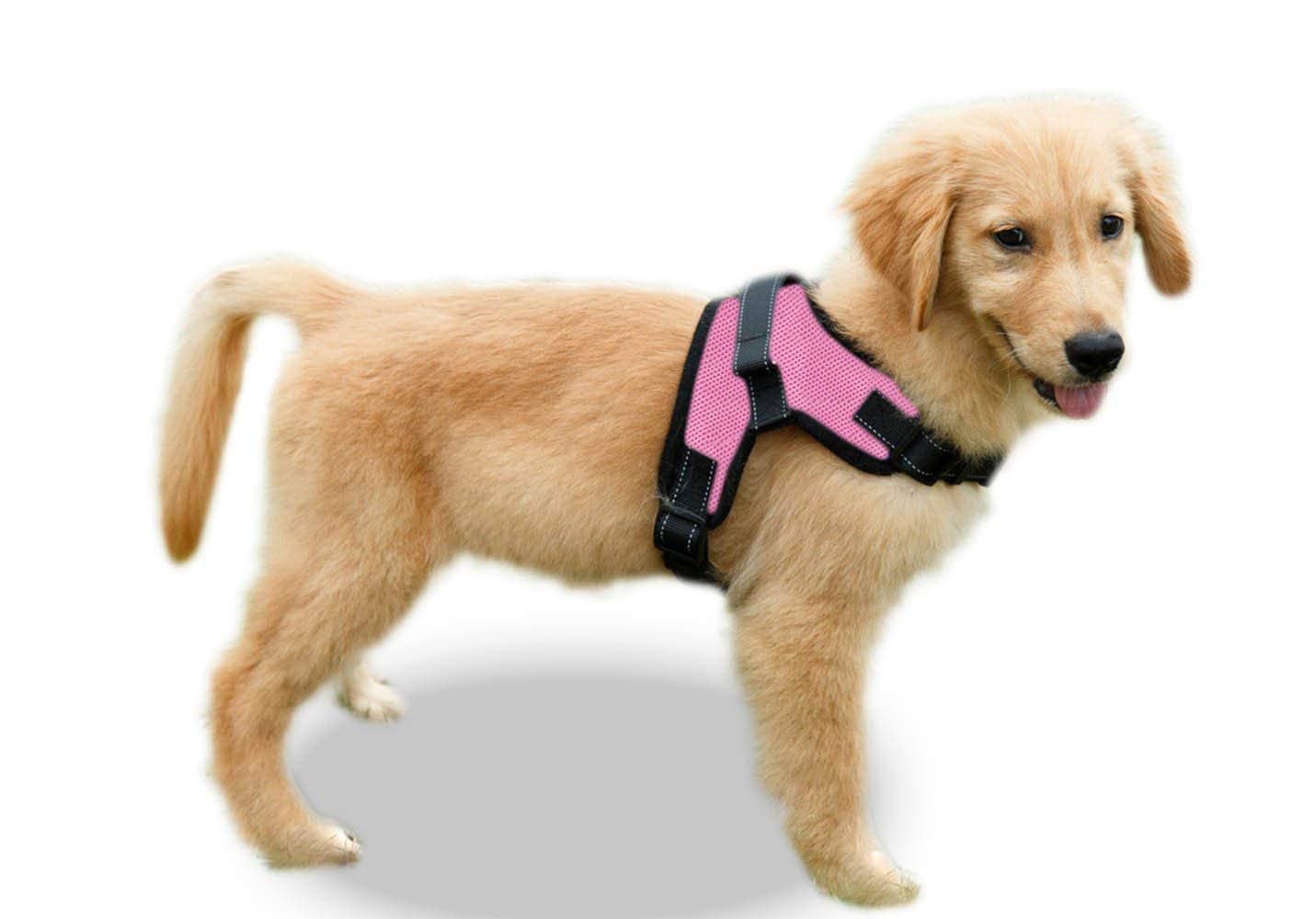 Copatchy No Pull Reflective Adjustable Dog Harness With Handle- Comfortable Soft All Weather Mesh, Easy On Puppy Harness For Small Medium And Large Dogs (Pink) X-Small