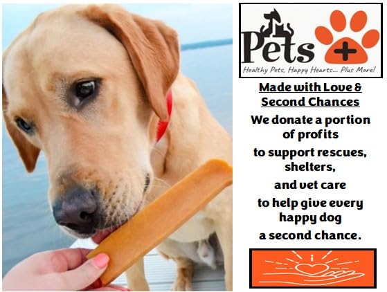 Pets Plus Himalayan Yak Chews for Dogs - 6 Inch, Medium Size, 8oz, 3-Pack - Long-Lasting Natural Dog Chews, Grain-Free, Odorless