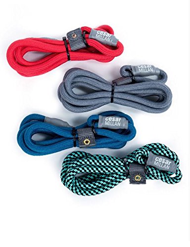Cesar Millan Slip Lead Leash™ - 2-In-1 Slip Collar Dog Training Lead & Collar | Heavy Duty Durable Weatherproof Rope Leash, No Pull Training | Length 4Ft Diameter 4/10”(Regular, Grey)