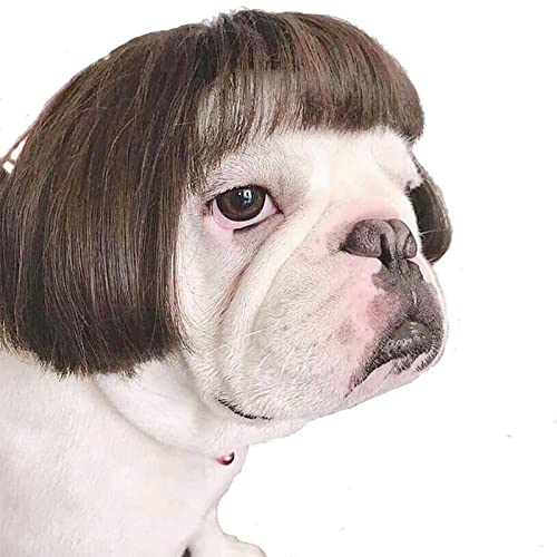 TESSVEYA Funny Dog Cat Cosplay Wig - Black Brown Straight Hair for Small, Medium & Large Dogs - Perfect for Halloween & Parties