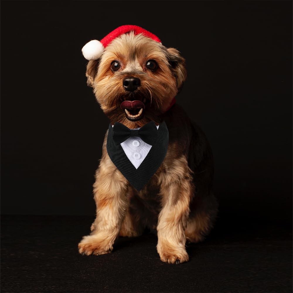 Dogtact Dog Wedding Bandana, Formal Dog Tuxedo Adjustable Pet Collar With Bow, Small, Medium And Large Dog Wedding Clothing, Bir