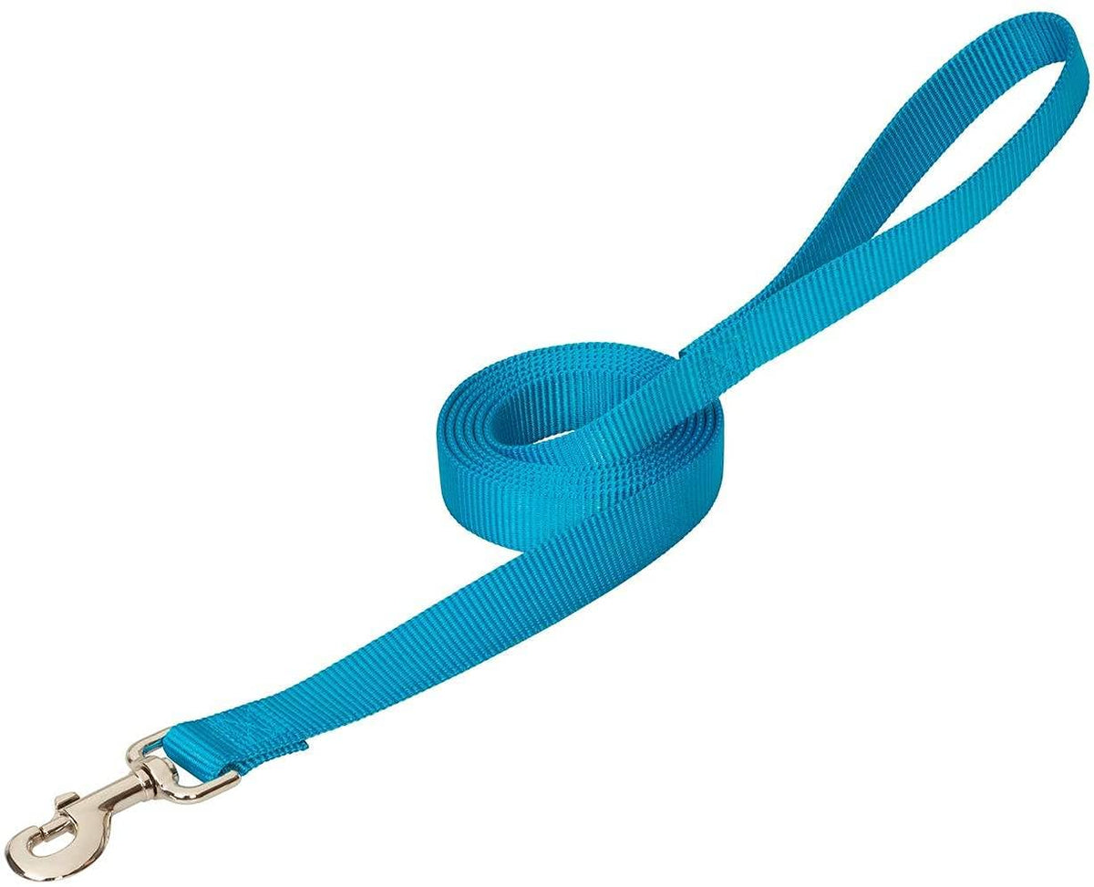 Weaver Pet Prism Leash, Hurricane Blue, 3/4-Inch X 6-Feet