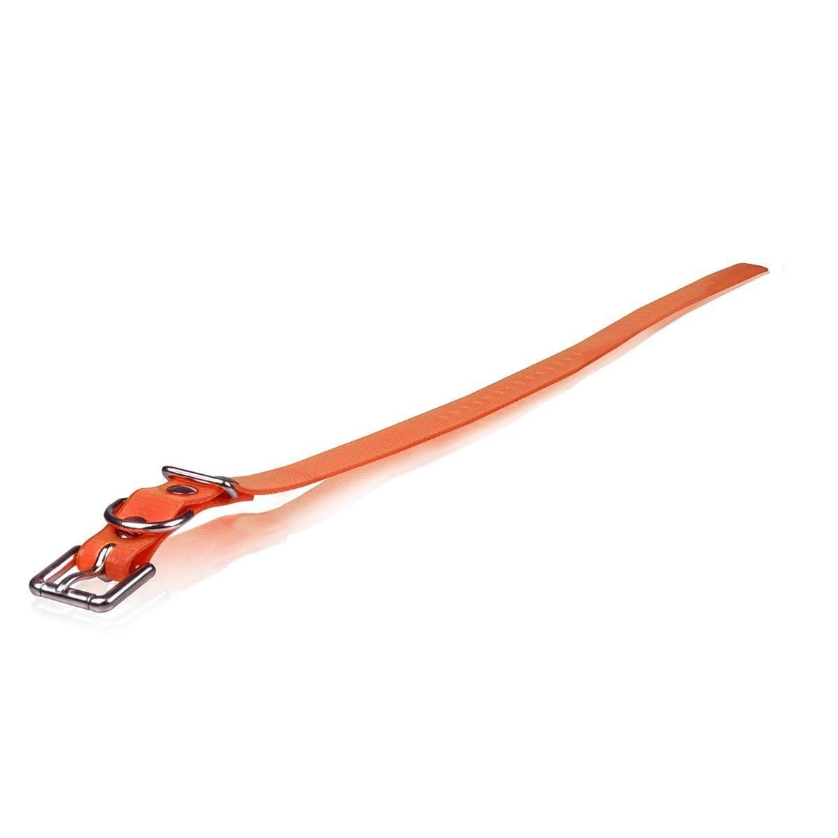 Dog Strap Size: 1' W X 30' D, Color: Roller Buckle