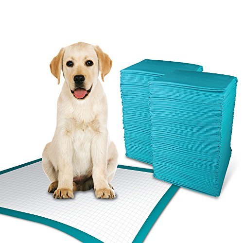 TBM Puppy Pads Large Size Pack of 100 (23.6x23.6) Super Absorbent Puppy Training Pads Anti Slip Dog Training Pads - No Leaking Q