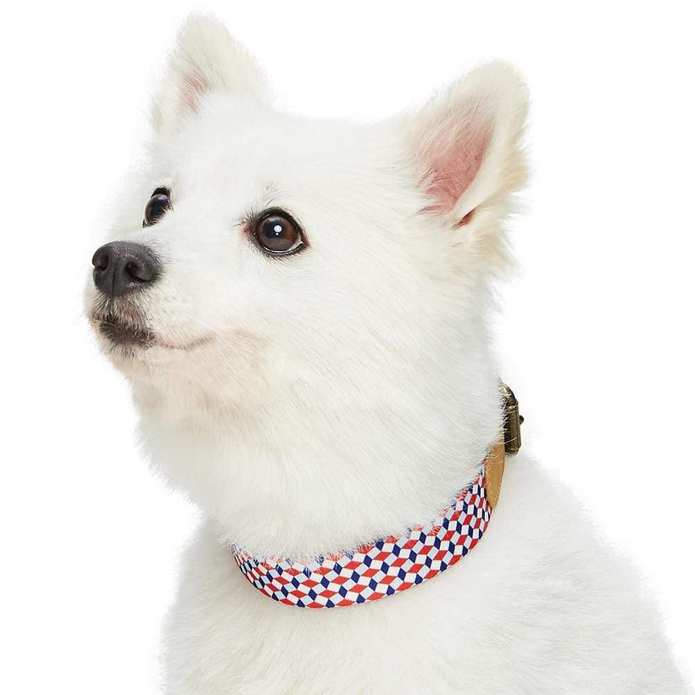 Blueberry Pet Multicolor Geometric Squares Genuine Full Grain Leather & Polyester Combo Adjustable Dog Collar, Medium, Neck 15''