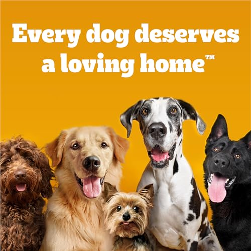 PEDIGREE CHOICE CUTS IN GRAVY Adult Soft Wet Dog Food 18-Pack Variety Pack, 3.5 oz Pouches