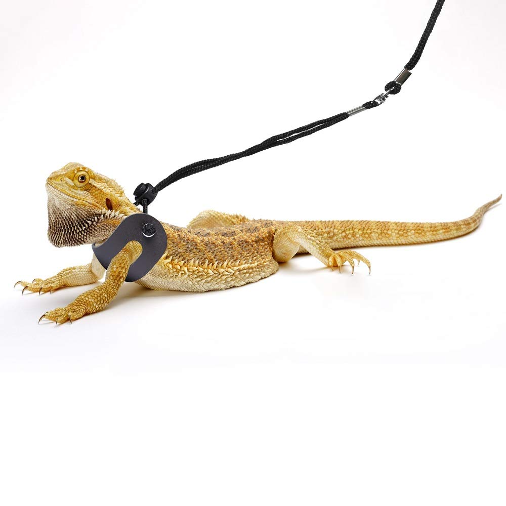 POLKASTORE Bearded Dragon Harness & Leash Set - Adjustable Soft Leather, Medium Size, 3 Pack for Reptiles & Small Pets