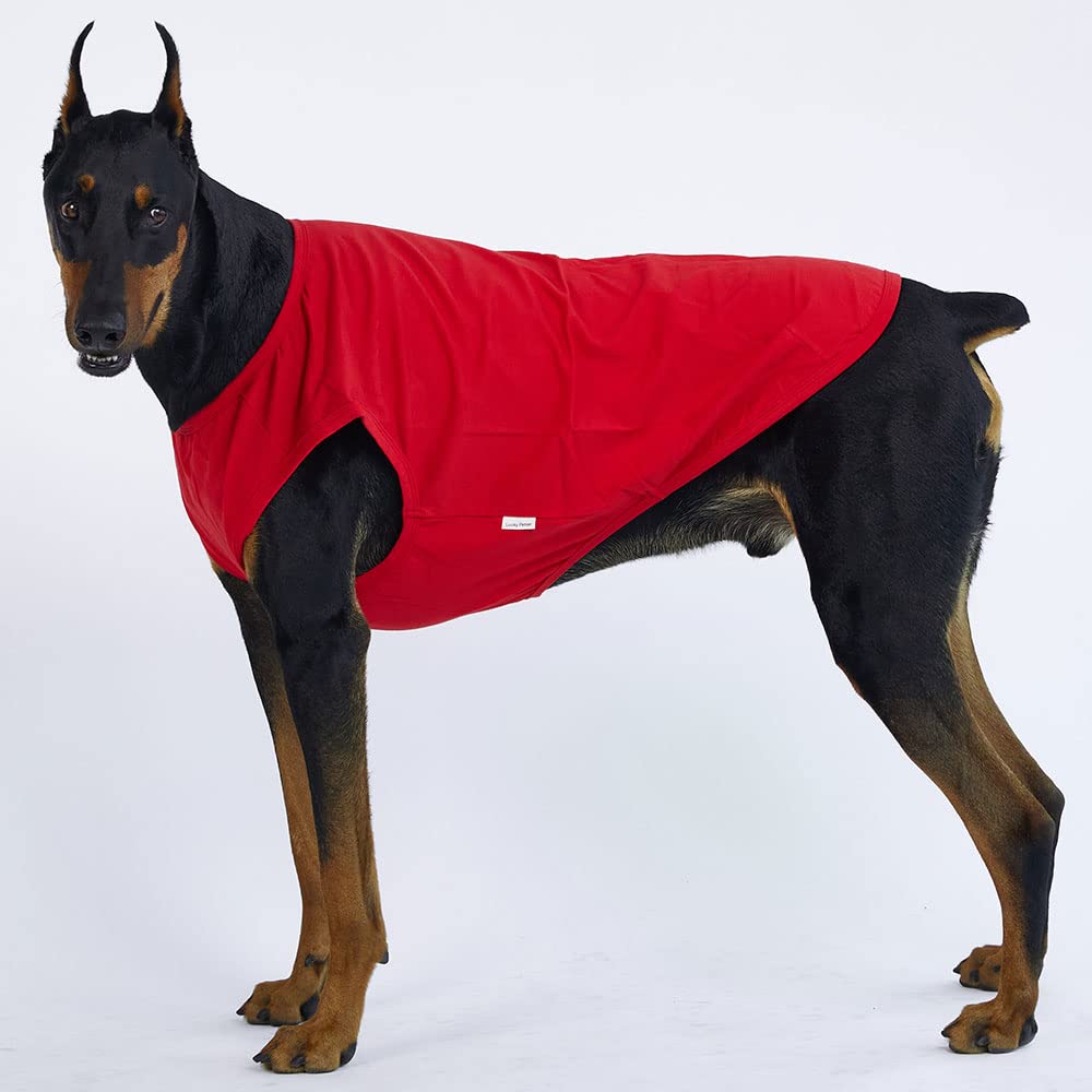 Lucky Petter Dog Sleeveless Tank Top Cotton Shirt (2X-Large, Red)