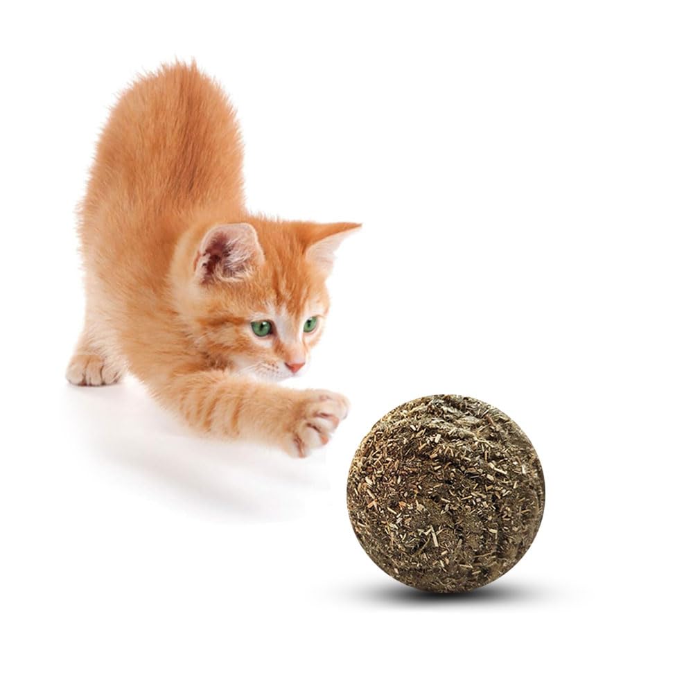 Mats Avenue Door Mats At Your Door Step Avenue Hand Crafted Interactive Sound Making Catnip Cat Mint Ball Teeth Cleaning Playing