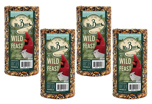 4 - Pack of Mr. Bird Wild Bird Feast Cylinder 28 ox | Wild Bird Food for Outdoor Birds | Backyard Birdfeeding