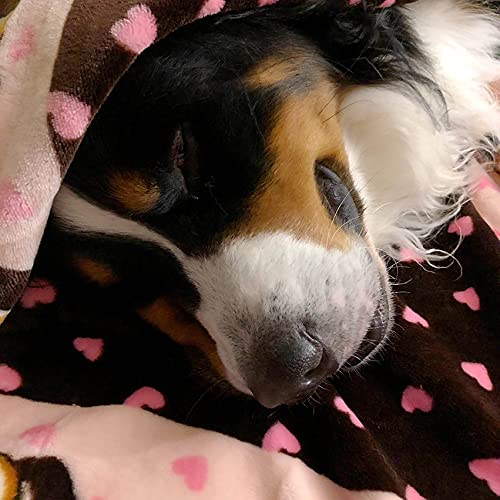 SmartPetLove Snuggle Puppy Blanket - Extra Soft, Long Lasting, Pink Pattern, 48x30x0.5 inches - Perfect for Pets