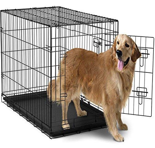 Dog Crates for Extra Large Dogs - XL Dog Crate 42 Pet Cage Double-Door Best for Big Pets - Wire Metal Kennel Cages with Panel &