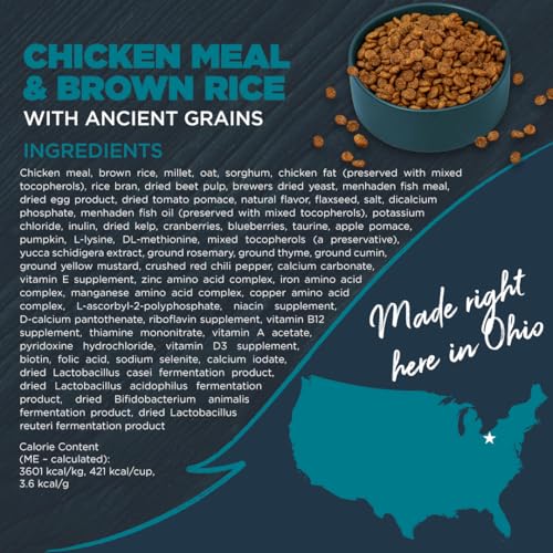 Blackwood Complete & Balanced Diet Dry Dog Food, Chicken Meal & Brown Rice with Ancient Grains, 10 Pound Bag, Slow Cooked with V