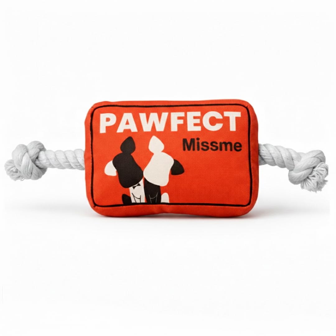 Mutt of Course Missme Squeaky Rope Dog Toy | Plush Tug Toy for Dogs & Puppies | Interactive Chew Toy with Squeaker | Indoor Play