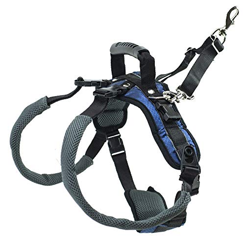 Petsafe Carelift Rear Support Harness - Lifting Aid With Handle And Shoulder Strap - Fits Waist Measuring 27-37 Inches, Dog Weig