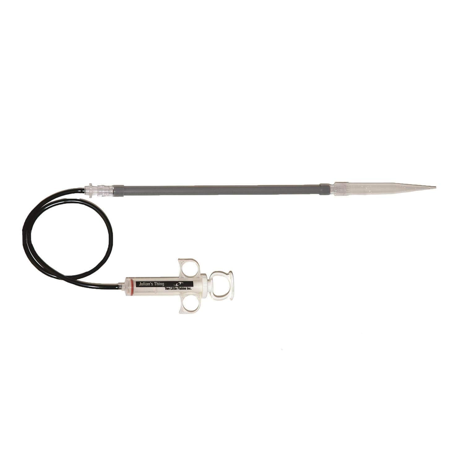 Two Little Fishies Julian'S Thing