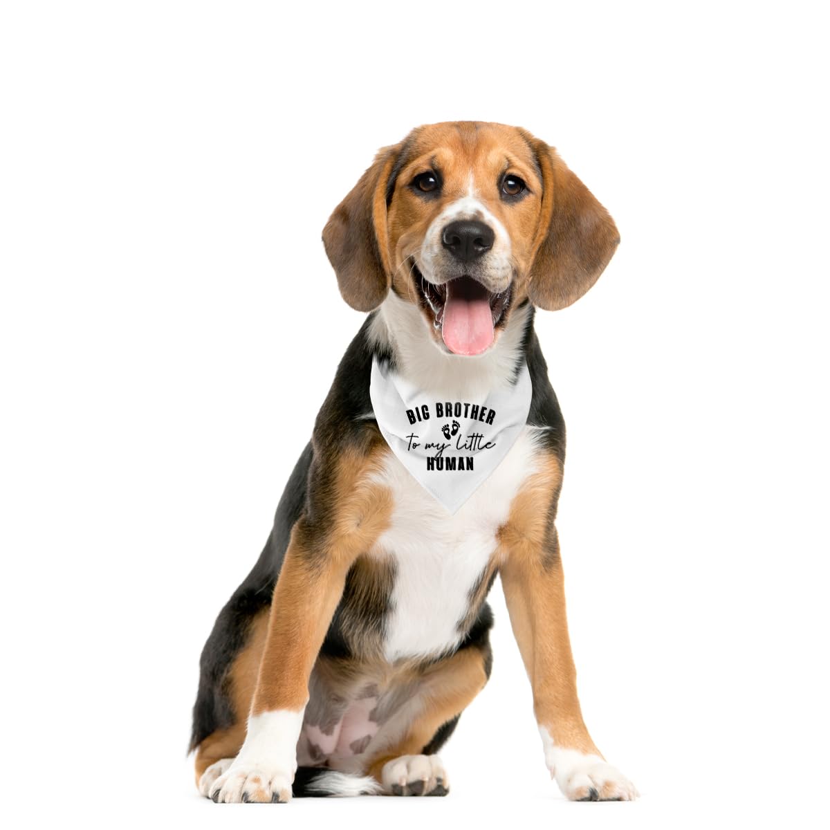 Big Brother To My Little Human Dog Bandana, Big Brother Bandana For Dog, Dogs Bandanas For Small Medium Dogs, Pet Scarf (D16)