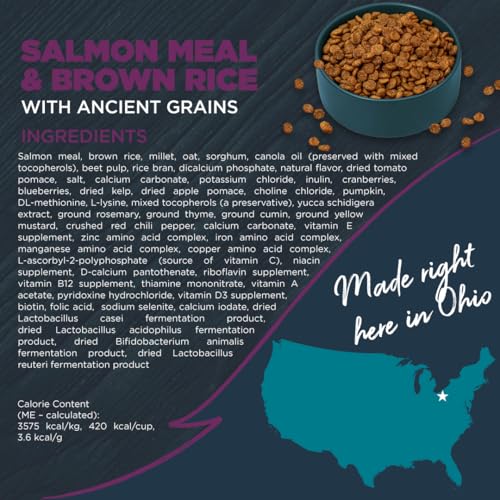 Blackwood Sensitive Skin & Stomach Dry Dog Food, Salmon Meal & Brown Rice with Ancient Grains, 4.5 Pound Bag with Prebiotics & P