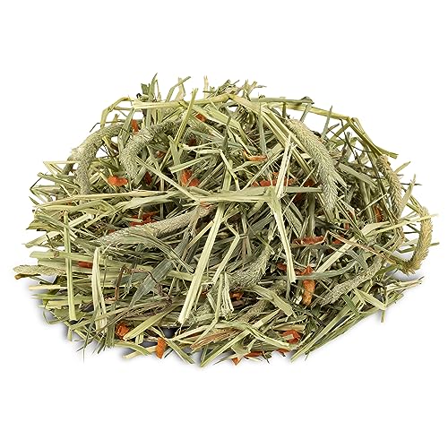 Kaytee Timothy Hay Plus Carrots for Pet Guinea Pigs, Rabbits & Other Small Animals, 24 oz