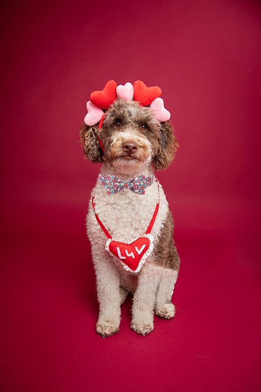 Lionet Paws Pink Flower Dog Collar, Cute Spring Dog Collar For Girl For Large Dogs, Adjustable Cotton Flower Pet Collars For Lar