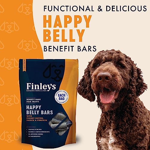 FNLY D SFT BR HP BELLY 16OZ
