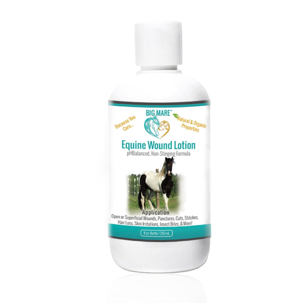 Big Mare Horse Wound Lotion | Anti Bacterial/Anti Fungal | Healing, Soothing & Penetrating Formula | 8 oz Bottle