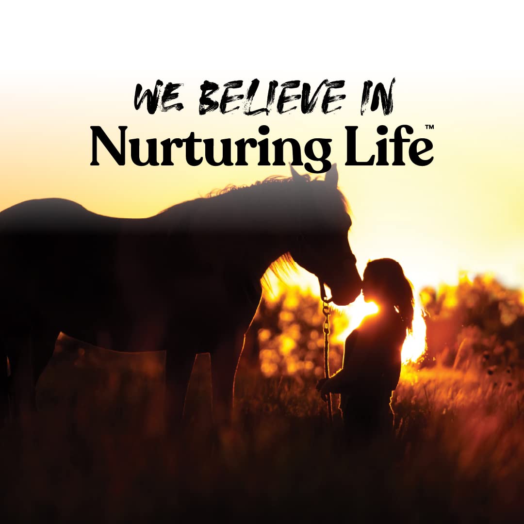 Manna Pro Apple Wafers - Treats for Horses - Packed with Vitamins & Minerals - Apple Flavored Horse Treats - 20 Pounds