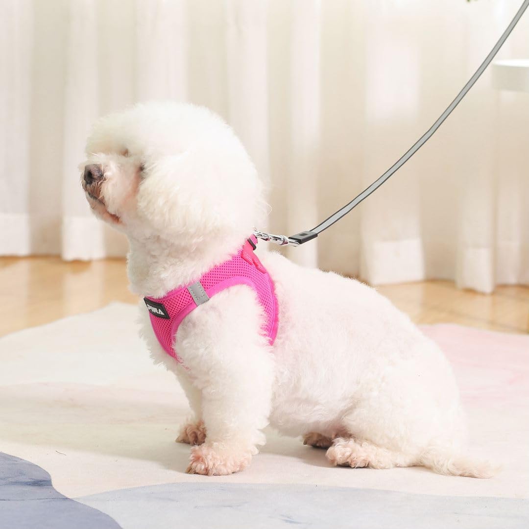 Pina Dog Harness And Leash Set For Small To Medium Dogs - No Pull, No Choke, Breathable Mesh Vest - Lightweight, Adjustable, Eas