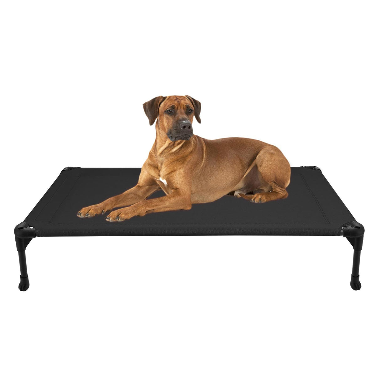 Veehoo Cooling Elevated Dog Bed, Portable Raised Pet Cot With Washable & Breathable Mesh, No-Slip Feet Durable Dog Cots Bed For Indoor & Outdoor Use, Large, Cwc1803-L Black