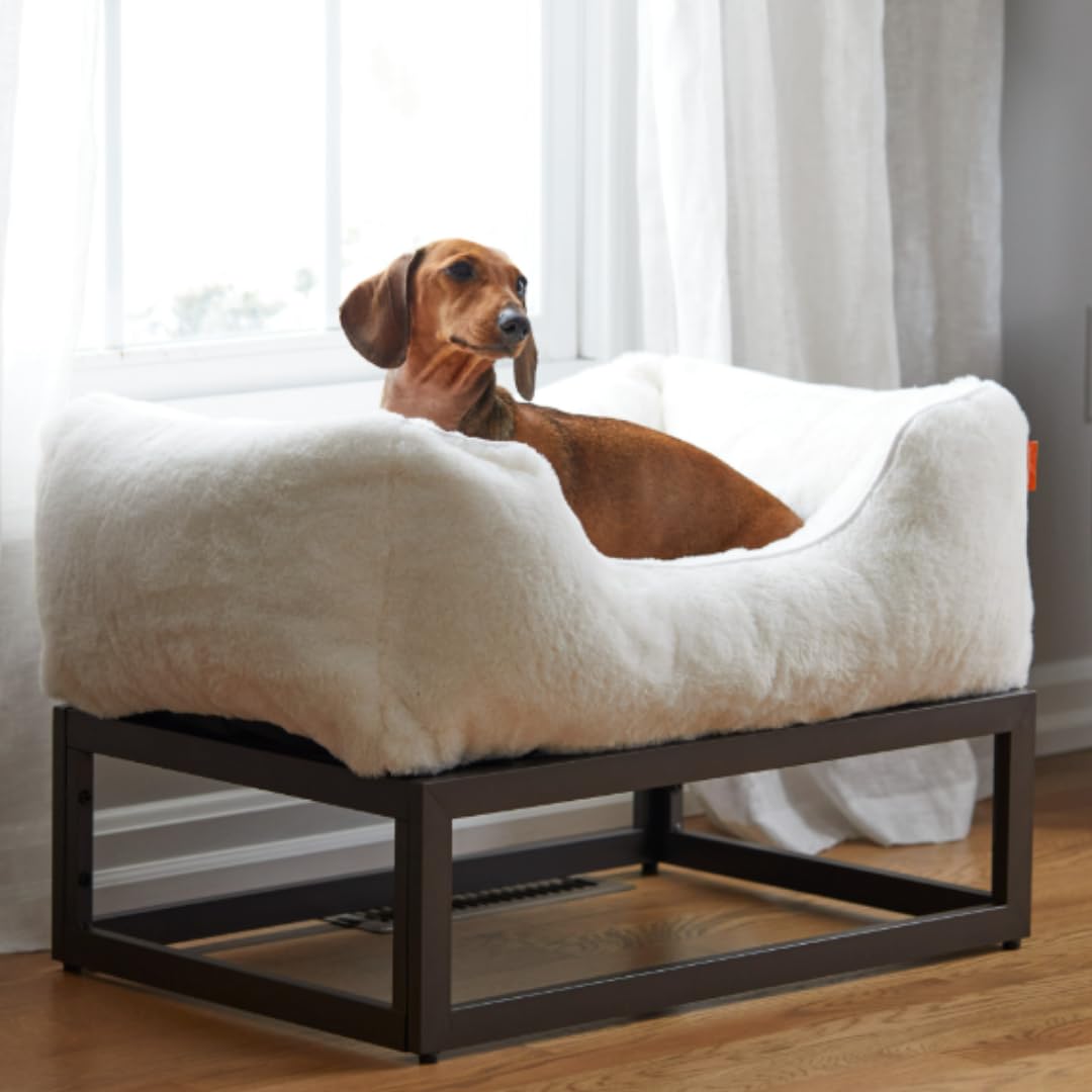Fuzi Elevated Dog Bed Small, Luxury Raised Dog Beds, Removable And Machine Washable Bed Cover, Indoor/Outdoor Orthopedic Pet Bed