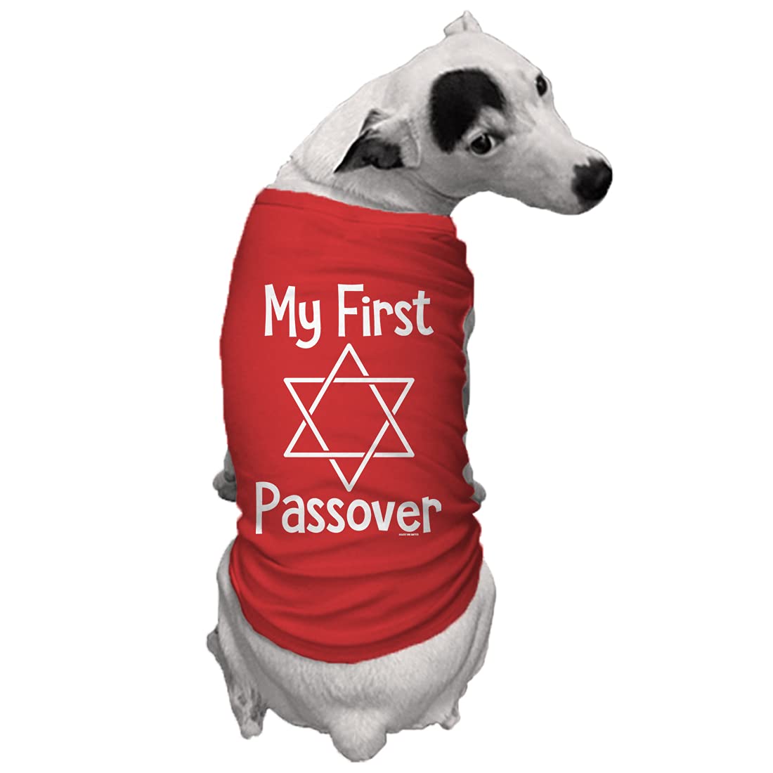 My First Passover - Dog Shirt (Red, Small)