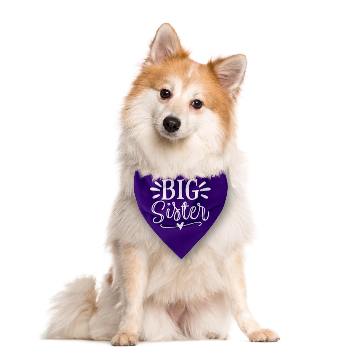 Big Sister Dog Bandana, Purple Dog Bandana, Pet Scarf Accessories, Pet Triangle Scarf, Dogs Bandanas For Small Medium Dogs (M)