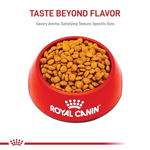 Royal Canin Feline Care Nutrition Urinary Care Adult Dry Cat Food, 6 lb Bag