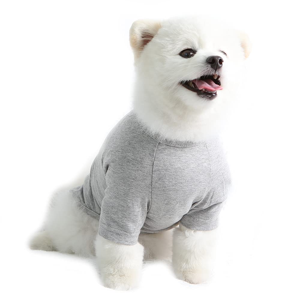Lucky Petter Dog Shirt For Small Dogs Plain T-Shirts Soft Breathable Dog Cotton Shirt Pet Clothes (Small, Gray)