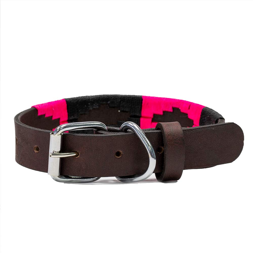 Gaucho Goods Leather Dog Collar - Antilles (S)