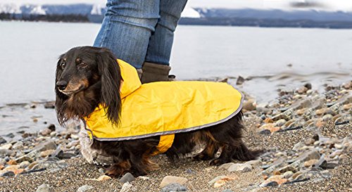 Rc Pet Products Price Incorrect Cartoon Pet Coats, Sunshine, Xs Us