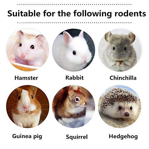 Dbeans Flourithing 600G Guinea Pig And Rabbit Chew Toys - Sweet Bamboo And Timothy Apple Sticks For Healthy Teeth And Relaxation