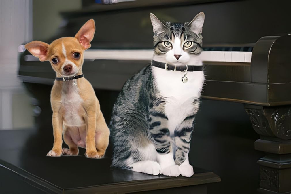 Black Puppy Collar With Bell,Cat Collar With Bell,Soft Pu Leather Xs Dog Collar Adjustable Buckle For Xxs Extra Small Medium Tin